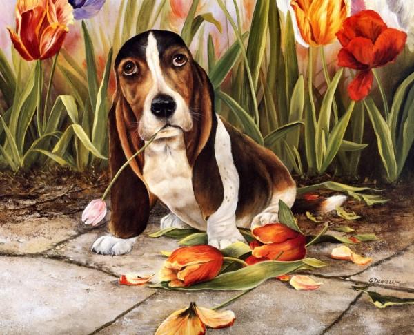 Paintings by Shirley Deaville