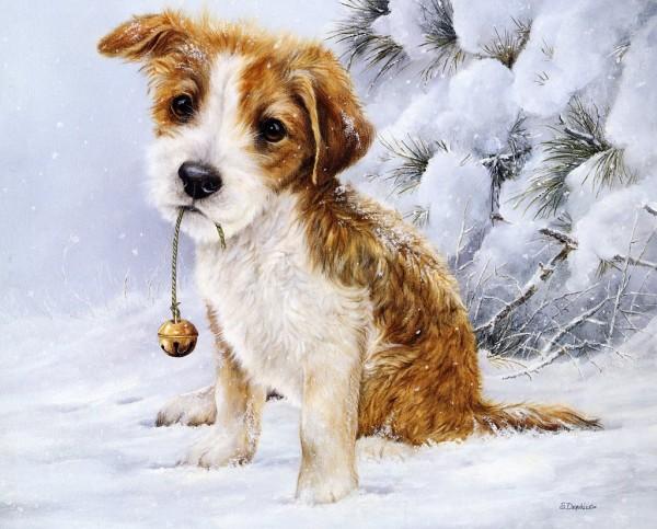 Paintings by Shirley Deaville