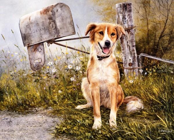 Paintings by Shirley Deaville