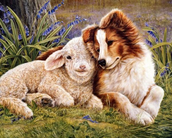 Paintings by Shirley Deaville