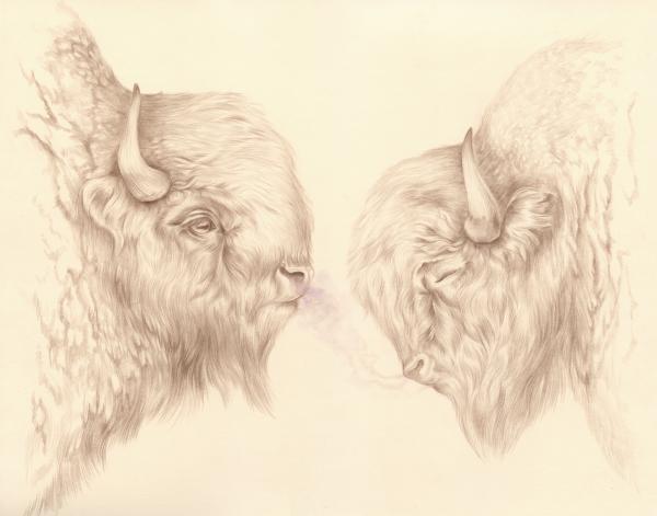 Animal Paintings by Jen Lobo