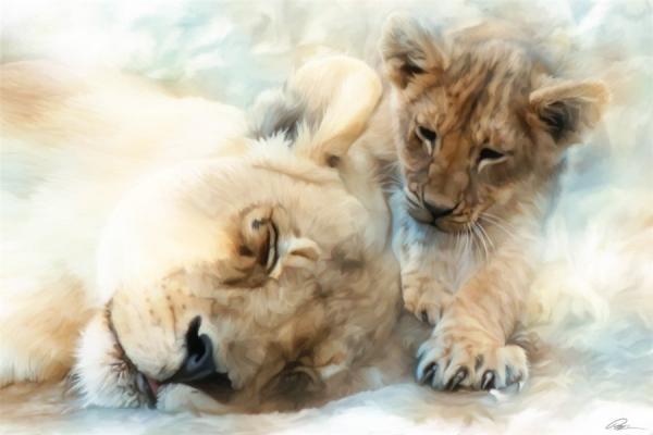 Lions Paintings by Paul Miners