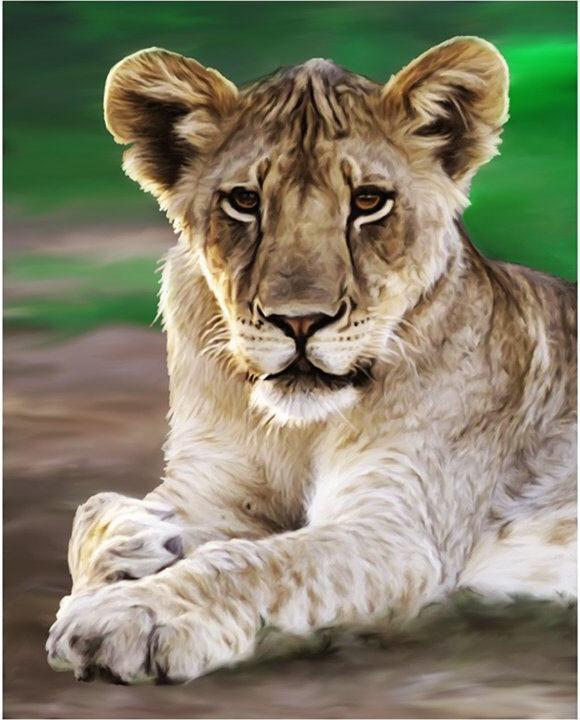 Lions Paintings by Paul Miners