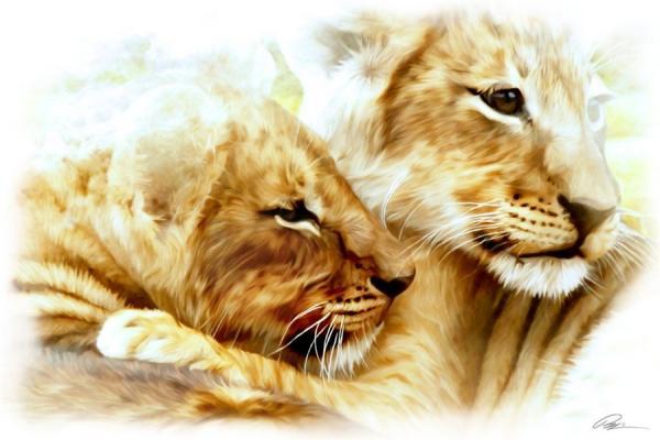 Lions Paintings by Paul Miners