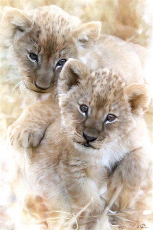 Lions Paintings by Paul Miners