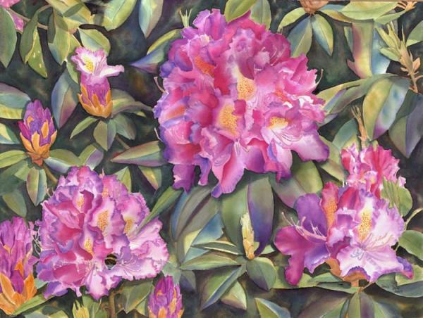 Beautiful Rose Paintings by Doris Joa