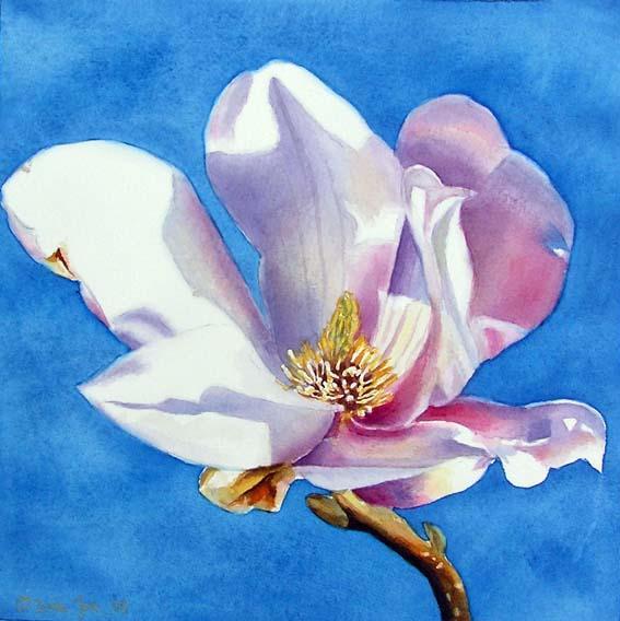 Beautiful Rose Paintings by Doris Joa