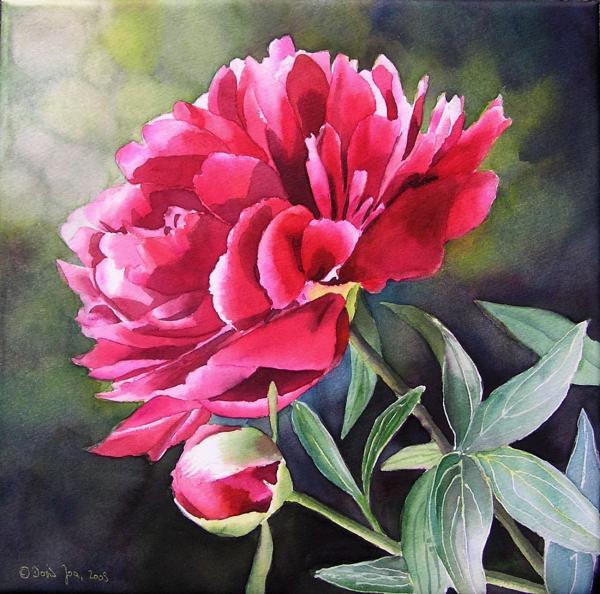 Beautiful Rose Paintings by Doris Joa