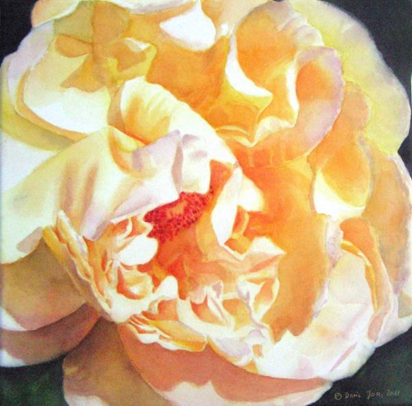 Beautiful Rose Paintings by Doris Joa