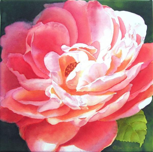Beautiful Rose Paintings by Doris Joa