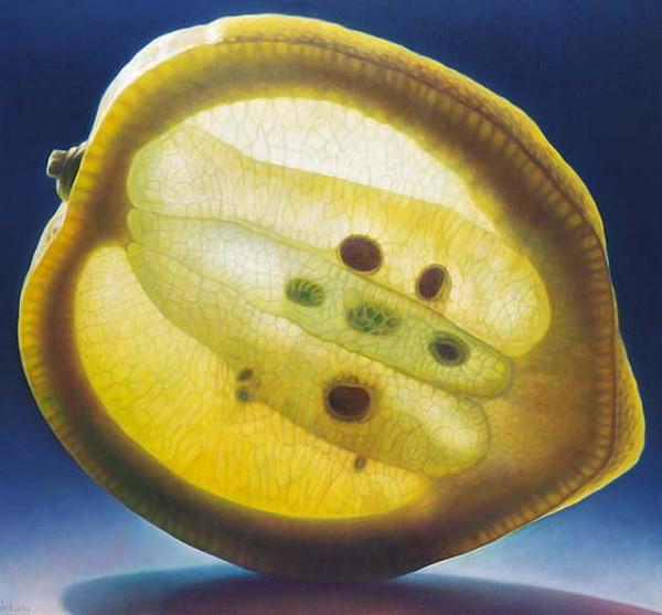 Fruit and Flowers Paintings by Dennis Wojtkiewicz