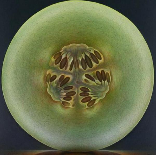 Fruit and Flowers Paintings by Dennis Wojtkiewicz