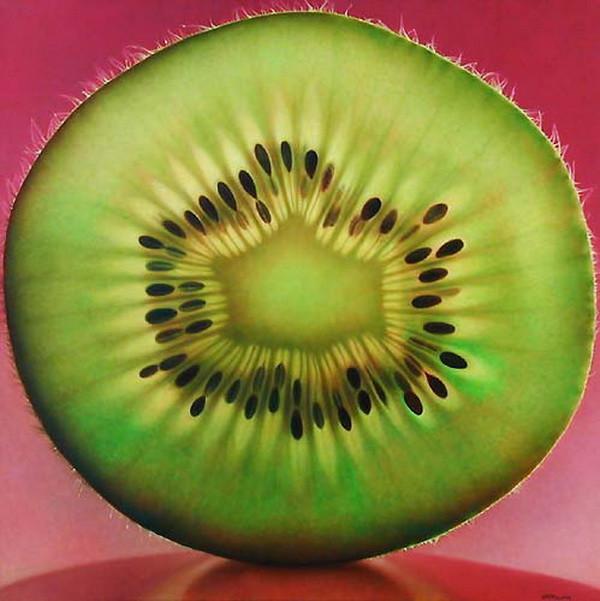 Fruit and Flowers Paintings by Dennis Wojtkiewicz