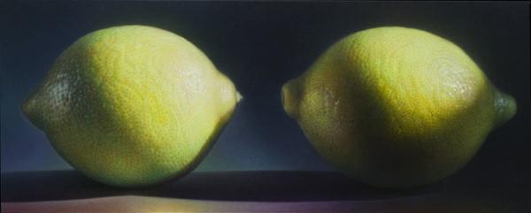 Fruit and Flowers Paintings by Dennis Wojtkiewicz