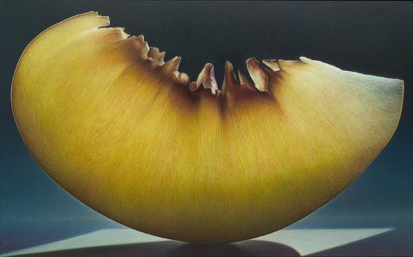 Fruit and Flowers Paintings by Dennis Wojtkiewicz