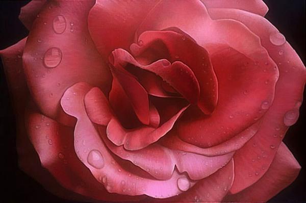 Fruit and Flowers Paintings by Dennis Wojtkiewicz