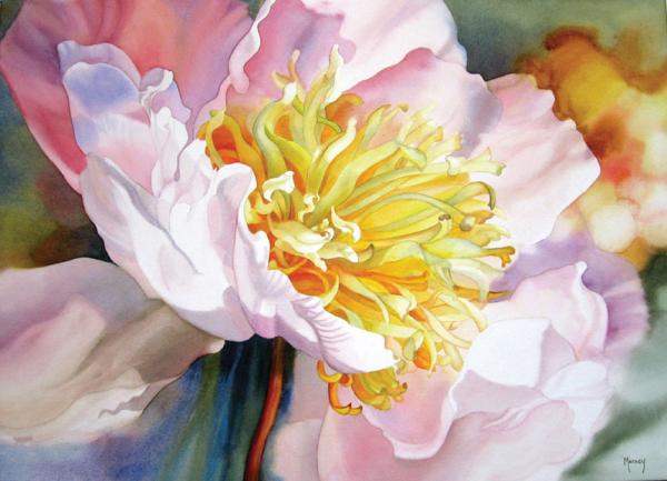Watercolour Flower Paintings by Marney Ward