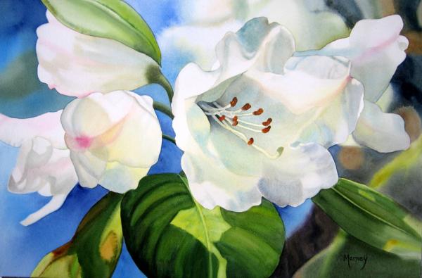 Watercolour Flower Paintings by Marney Ward