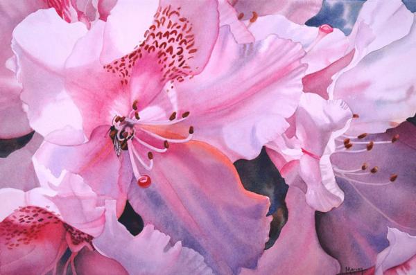 Watercolour Flower Paintings by Marney Ward