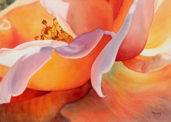 Watercolour Flower Paintings by Marney Ward