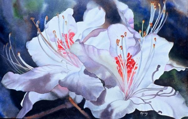 Watercolour Flower Paintings by Marney Ward