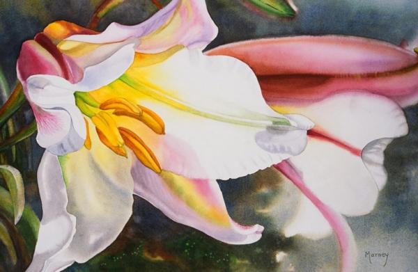 Watercolour Flower Paintings by Marney Ward