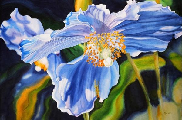 Watercolour Flower Paintings by Marney Ward