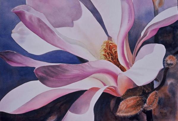 Watercolour Flower Paintings by Marney Ward