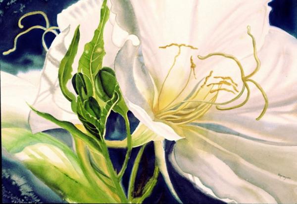 Watercolour Flower Paintings by Marney Ward