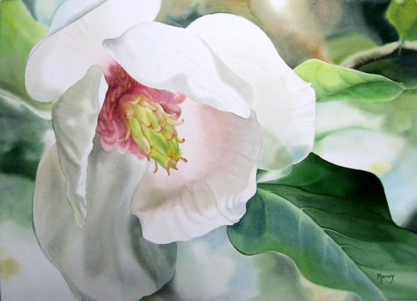Watercolour Flower Paintings by Marney Ward