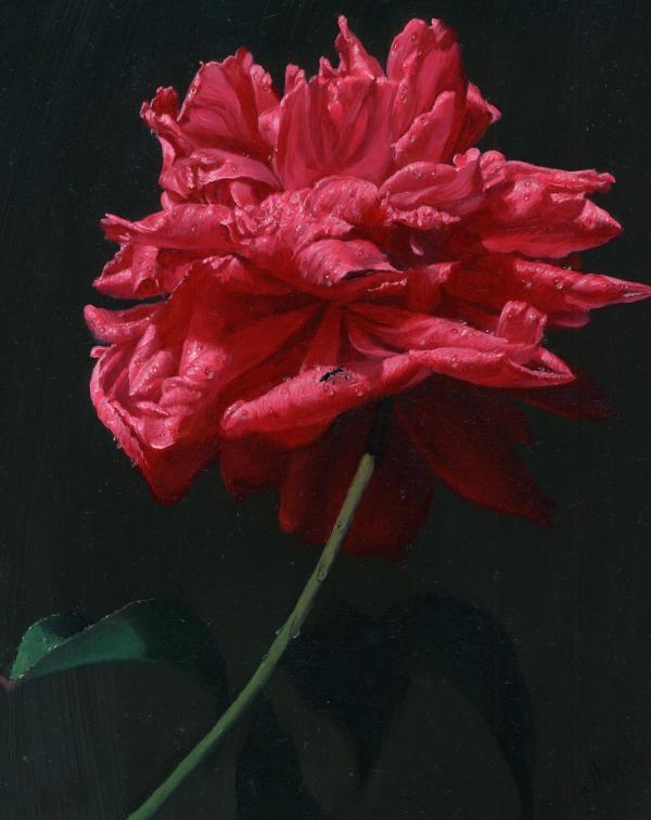 Rose Paintings by Alexei Antonov