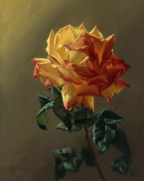 Rose Paintings by Alexei Antonov