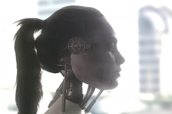 Robots by Daniele Gay