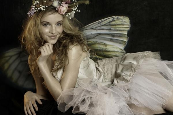 A story of fairies