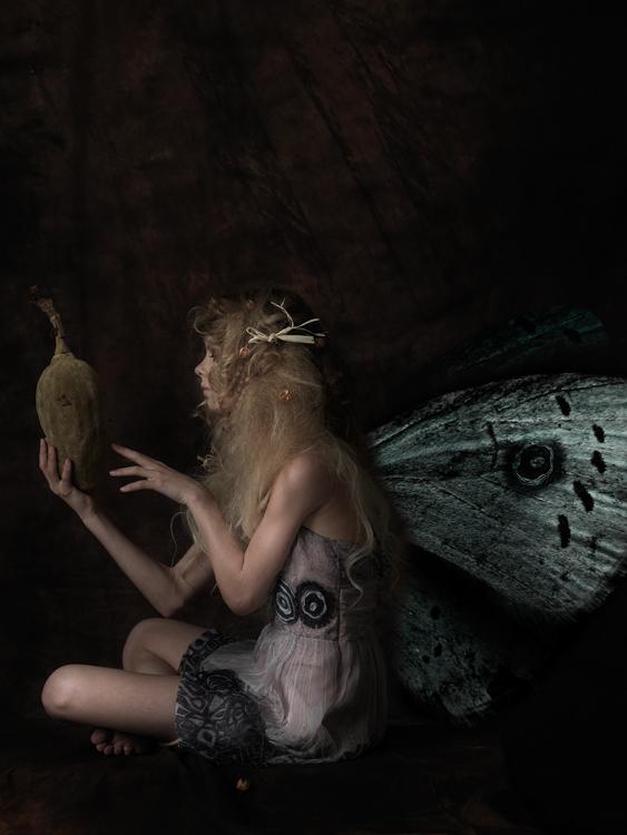 A story of fairies