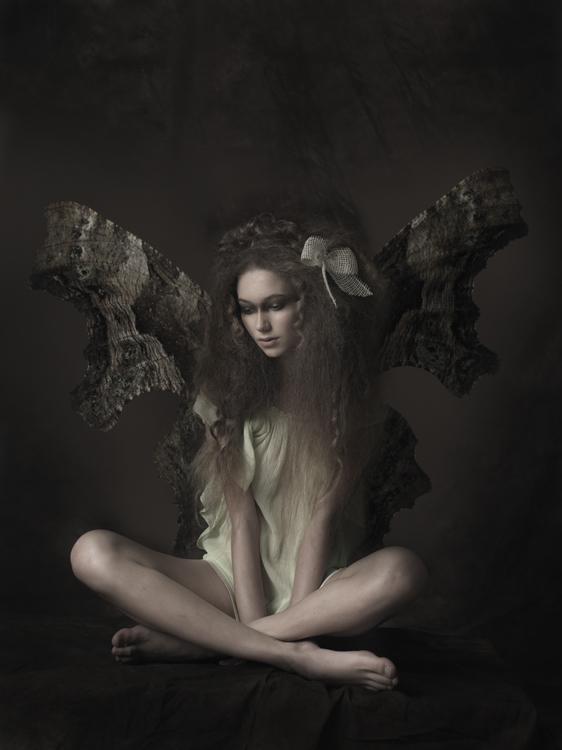 A story of fairies