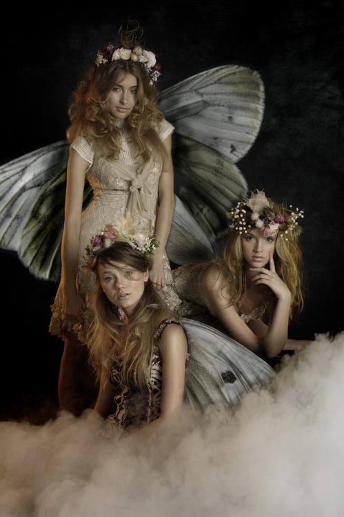 A story of fairies