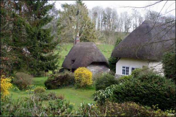 Thatched Houses England