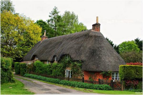 Thatched Houses England