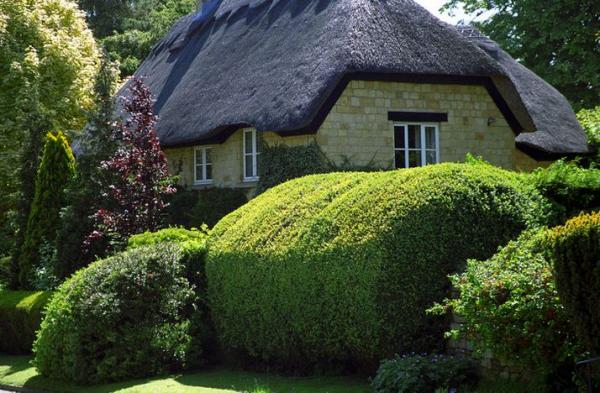 Thatched Houses England