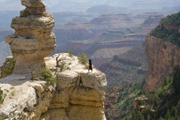 Astonishing Photos Demonstrating Art of Balance