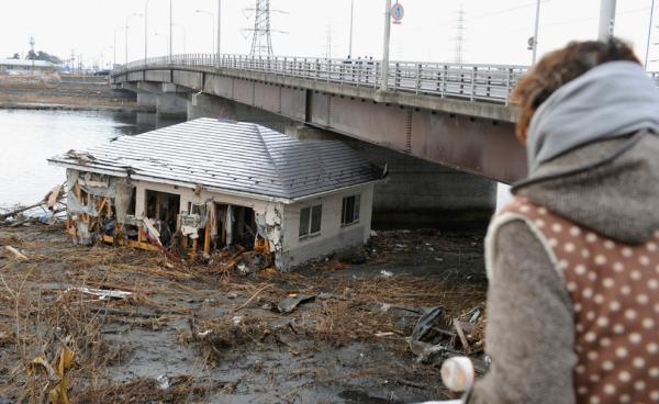 2011 Japanese Earthquake and Tsunami
