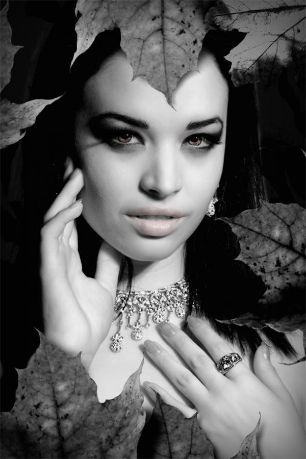 Photography by Michael Park