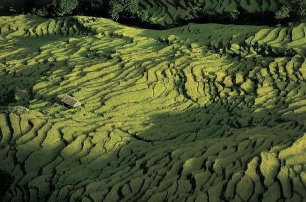 Earth from Above