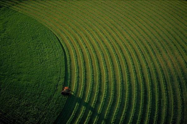 Earth from Above