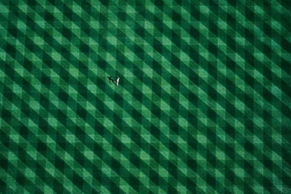 Earth from Above