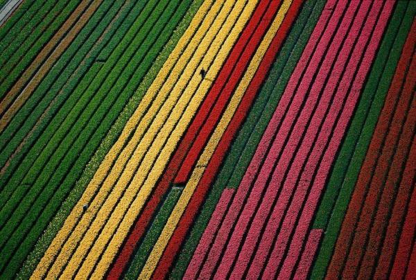 Earth from Above