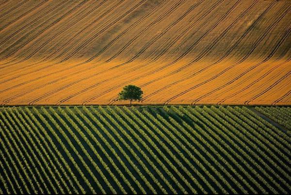Earth from Above