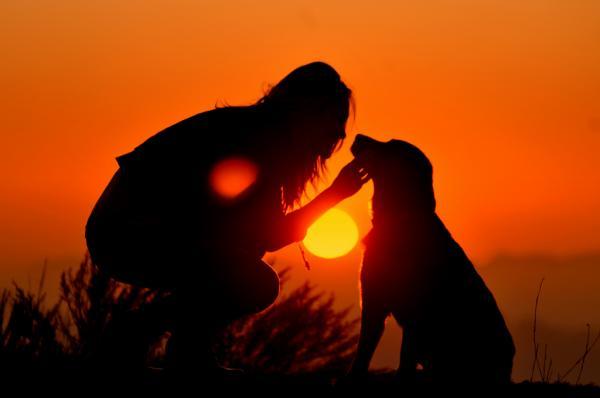 Beautiful Cinematic Photography by TJ Scott
