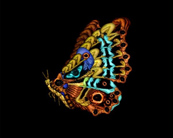 Nature Fused with Humans